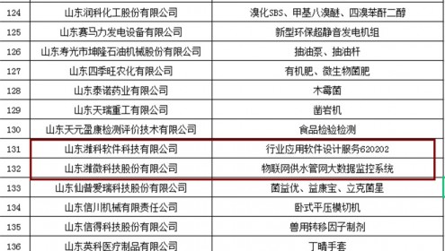 喜報|我司榮獲山東省“專精特新”中小企業(yè)殊榮！